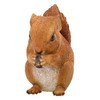 Figuren Shop GmbH Garden Squirrel Figurine - Weatherproof & Hand-Painted