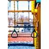 Eastern Jungle Gym Heavy-Duty Ring Trapeze Bar Combo, Large 20"
