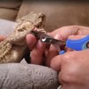 KEUYE Bearded Dragon Nail Clippers,Stainless Steel Bearded Dragon Toe Nail