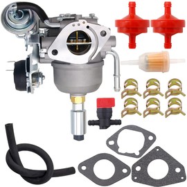 541-0765 Carburetor for 5410765 48-2042 141-0983 141-0982 146-0774(PWY) A043B781 A041P558 Onan 5500 Grand Marquis Gold generator HGJAA HGJAB-901D HGJAB-900
