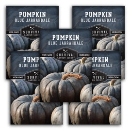 Blue Jarrahdale Pumpkin Seeds for Planting | Heirloom Non-GMO Variety with Decorative Blue-Gray Skin & Sweet Flesh for Baking, Fall Decor – Survival Garden Seeds (5 Packs)