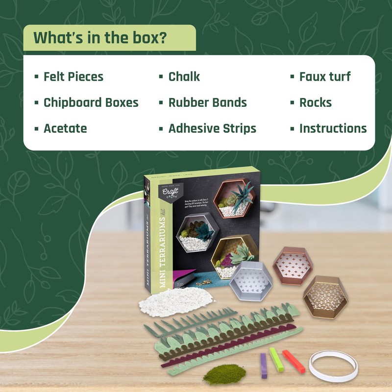 Craft Crush — Mini Plants Terrariums Easy Fun Arts and