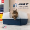 IRIS USA XX-Large Side Entry Cat Litter Box, Open Top