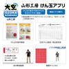 Japan Kendama Association Certified New Competition Kendama "Ozora Kendama", Solid
