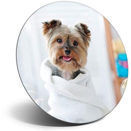 Destination Vinyl ltd Magnet for Refrigerator, Fridge - Cute Yorkie Dog Puppy Bathing for Office, Cabinet and Whiteboard, Magnetic Stickers, 21419
