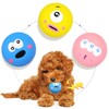 LLSPET Latex Dog Toys Big Eyes Cute Facial Dog Ball,