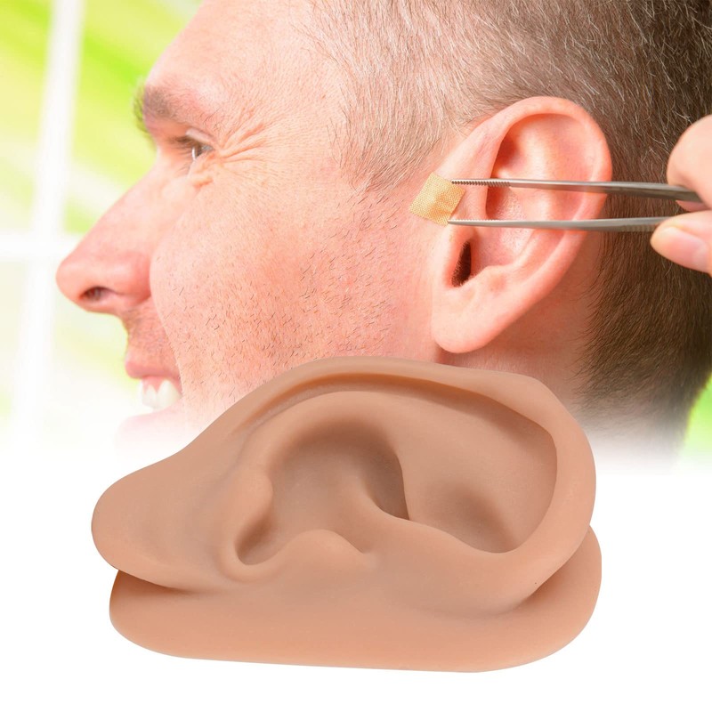 Modelo de oreja de acupuntura, réplica de oreja artificial derecha
