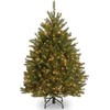 National Tree Company Pre-Lit Artificial Christmas Tree, Dunhill Fir 4.5