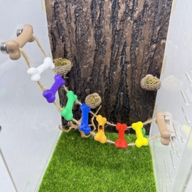 Daerky Jumping Spider Rope Bridge,Magnetic Climbing Bridge, Spider Hide Platform,Jumping Spider Enclosure Accessories,3D Printed,Magnetic Decor for Small Reptile Enclosures (Color)