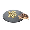 Tfwadmx Reptile Basking Platform,Tortoise Rock Slate Plate Feeding Platform Food