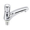 Basin Sink Faucet Push Button Design Water Saving Rugged Reliable