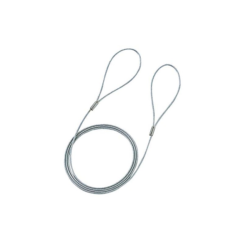 Sanwa Supply E-Security SLE-3W (Wire Length: 0.4 ft (1.0 m)