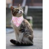 Cat Collars Breakaway with Bandana Bell Japanese Pet Kitten Adjustable