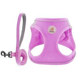 Hipubby Dog Harness and Leash Set, No Pull Soft Mesh Puppy Harness for Small Medium Dogs, Cats - Step in Reflective Breathable Lightweight Vest Harness for Walking, Training - Purple, S