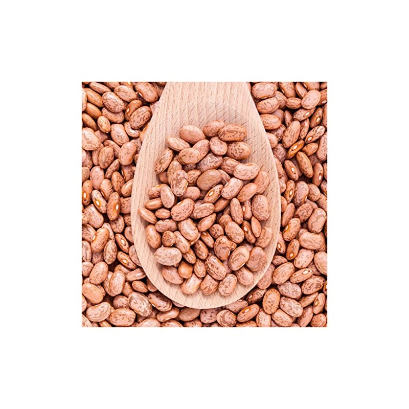 Everwilde Farms - 1 Lb Pinto Dry Bean Seeds -