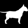 Decal Stickers of Bull Terrier Dog (White) (Set of 2)