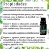 Aceite Esencial Orégano 15 Ml 100 Puro