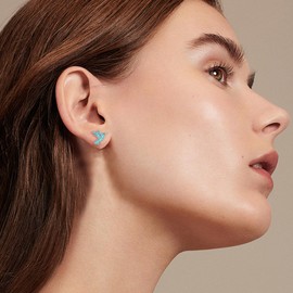 AXOMY Hummingbird Earrings Turquoise 925 Sterling Silver Hummin Bird Stud Earrings Hummingbird Jewelry Gifts for Women Mother Hummingbirds Lovers (Stud Style)