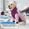 AOFITEE Dog Recovery Suit for Front Legs, Breathable Dog Wound