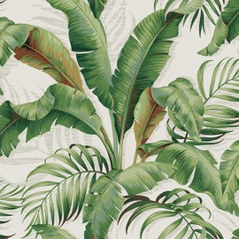 Tommy Bahama - Peel and Stick Wallpaper, Tropical Wallpaper for Bedroom, Powder Room, Kitchen, Vinyl, 30.75 Sq Ft Coverage (Palmiers Collection, Aloe)