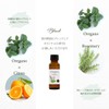 100% Natural Oregano Oil 30ml Essential Oil Essential Oil Aroma