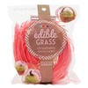 Grandys Candys Edible Easter Grass- Green Apple, Blueberry, Strawberry, &