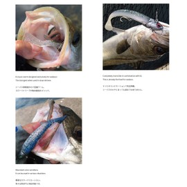 Coreman Alkaline Shad 2.2 inches (55 mm) #010 Night SP