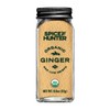 Spice Hunter The Ground Organic Jar, Ginger, 0.8 Ounce