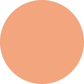 Prigel PREGEL Flower Feminine Series Prigel Muse 0.1 oz (3 g) M1094 Gerbera Orange