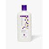 Lavender Biotin Full Volume Shampoo 340ml / 라벤더 비오틴 풀 볼륨 샴푸 340ml