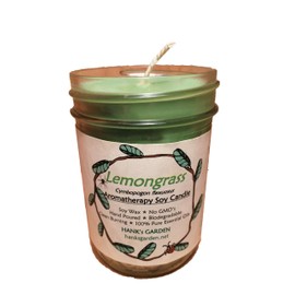Lemongrass Essential Oil Aromatherapy Soy Candle - 100% Pure Essential Oils - All Natural, Biodegradable, Earth Friendly, Natural Dyes and Wicks, Clean Burn, No Soot, Hand Poured (Medium Jar - 8 oz)