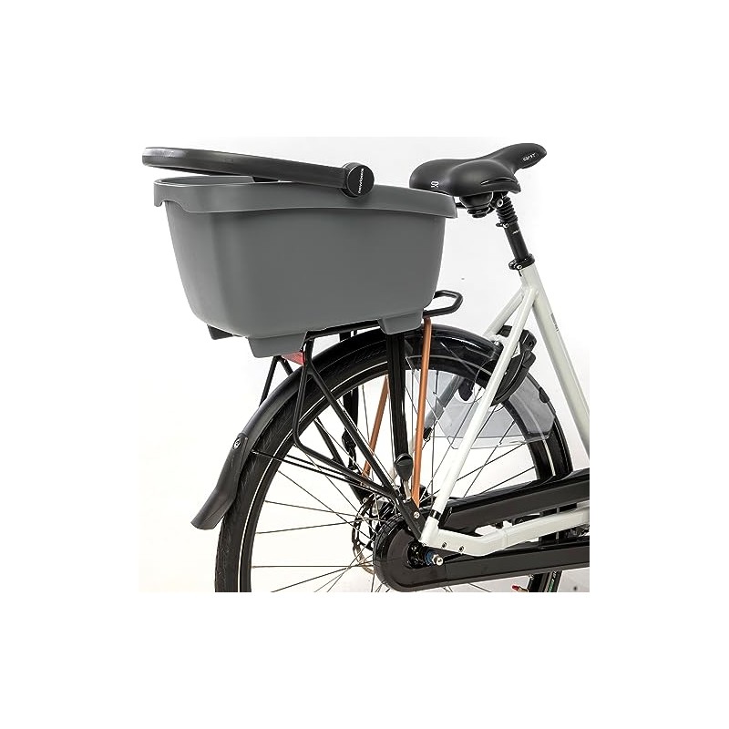 New Looxs Clipper RT