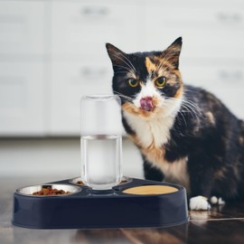 Relaxdays Double Bowl with Water Dispenser, Cats & Small Dogs, 500 ml Bottle, 120 ml Stainless Steel Cat Bowl, Blue/Silver