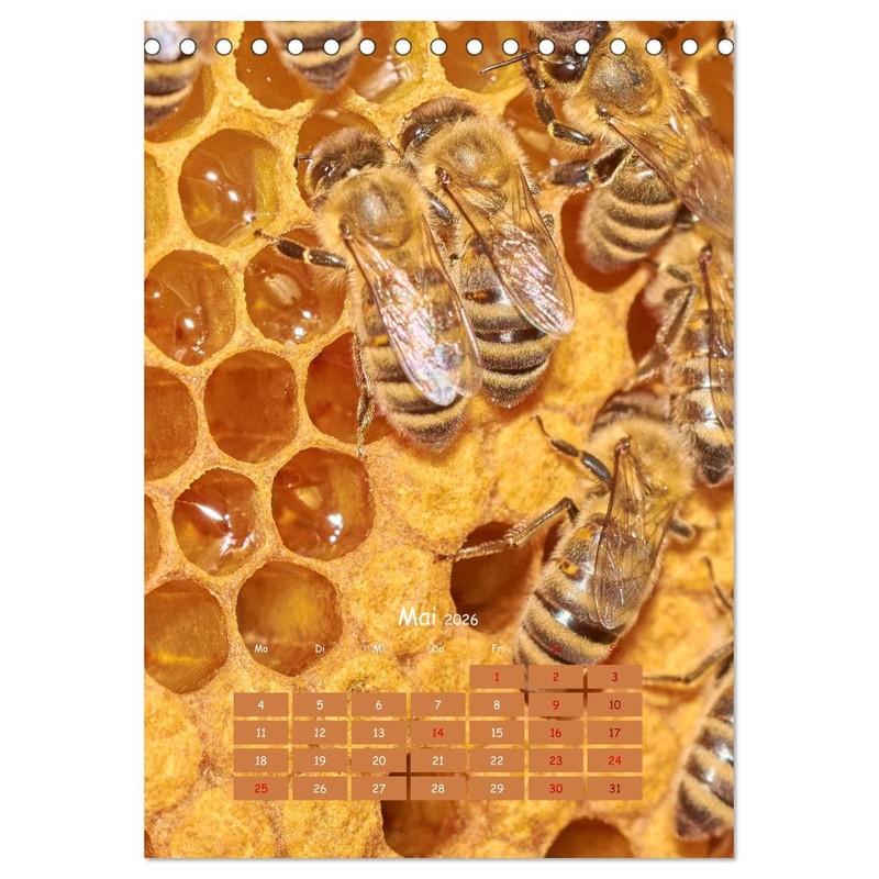 Geschäftig wie im Bienenstock (Tischkalender 2026 DIN A5 hoch), CALVENDO