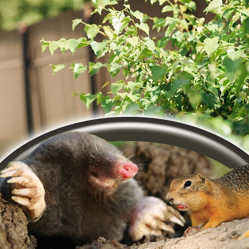 BONIDE PRODUCTS INC 1 LB MOLETOX, Mole & Gopher KILLER