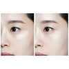 The Saem Luminous Multi Highlighter 02 Gold Beige / 더샘