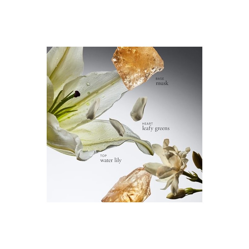 Philosophy Pure Grace Body Lotion, 16 Ounces