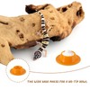 2 Pack Gecko Calcium Dish for Leopard Geckos Small Reptiles,