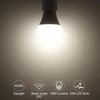 ORALUCE 12V LED Light Bulb Low Voltage,AC/DC 12-24V A19 E26