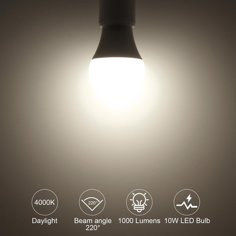 ORALUCE 12V LED Light Bulb Low Voltage,AC/DC 12-24V A19 E26