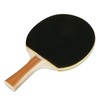 BVB Table Tennis Set