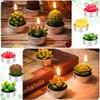 24 Velas de Cactus,Velas de Suculentas,Juego velas suculentas con caja