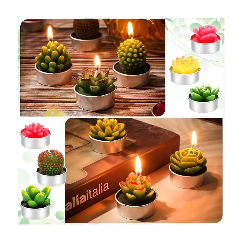 24 Velas de Cactus,Velas de Suculentas,Juego velas suculentas con caja