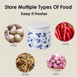 BIINONE Terracotta Garlic Storage Container, Ceramic Keeper for Kitchen Counter