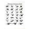Half a Donkey Dinosaurs of the Jurassic Period - large