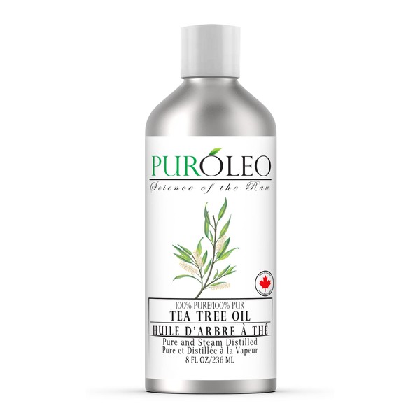 PUROLEO Tea Tree Essential Oil 8 Fl Oz/236 ML (Made In Canada) 100% Pure and Natural, Premium Quality Aromatherapy Oil for Diffuser, Skincare and Haircare, Refreshing and Invigorating Scent