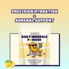 Aevezom Mint Lemon Electrolyte Drink Mix – Daily Hydration Powder