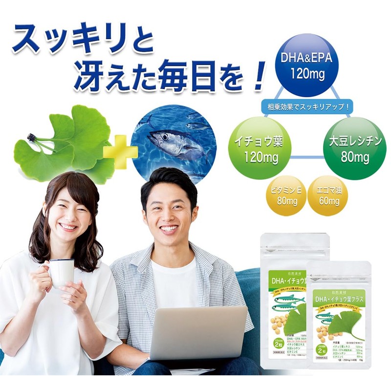 Dainichi Healthy Foods DHA EPA Ginkgo Biloba Leaf 80 Capsules