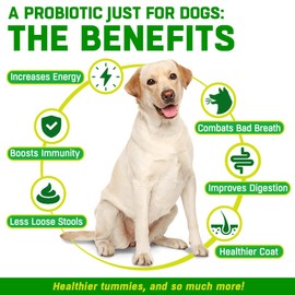 CANIVET Probiotics for Dogs. Canine Dietary Supplement - Aids Digestive Health, 200g Powder Dog Probiotic. 5 Billion CFU** with 10 Strains of Good Bacteria for your Dog's Digestive Health.