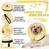 Cneo Inflatable Dog Cone Collar for Large Medium Small Dogs,